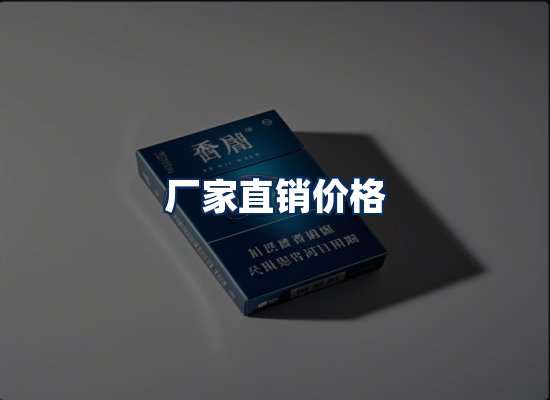 专业团队办公环境